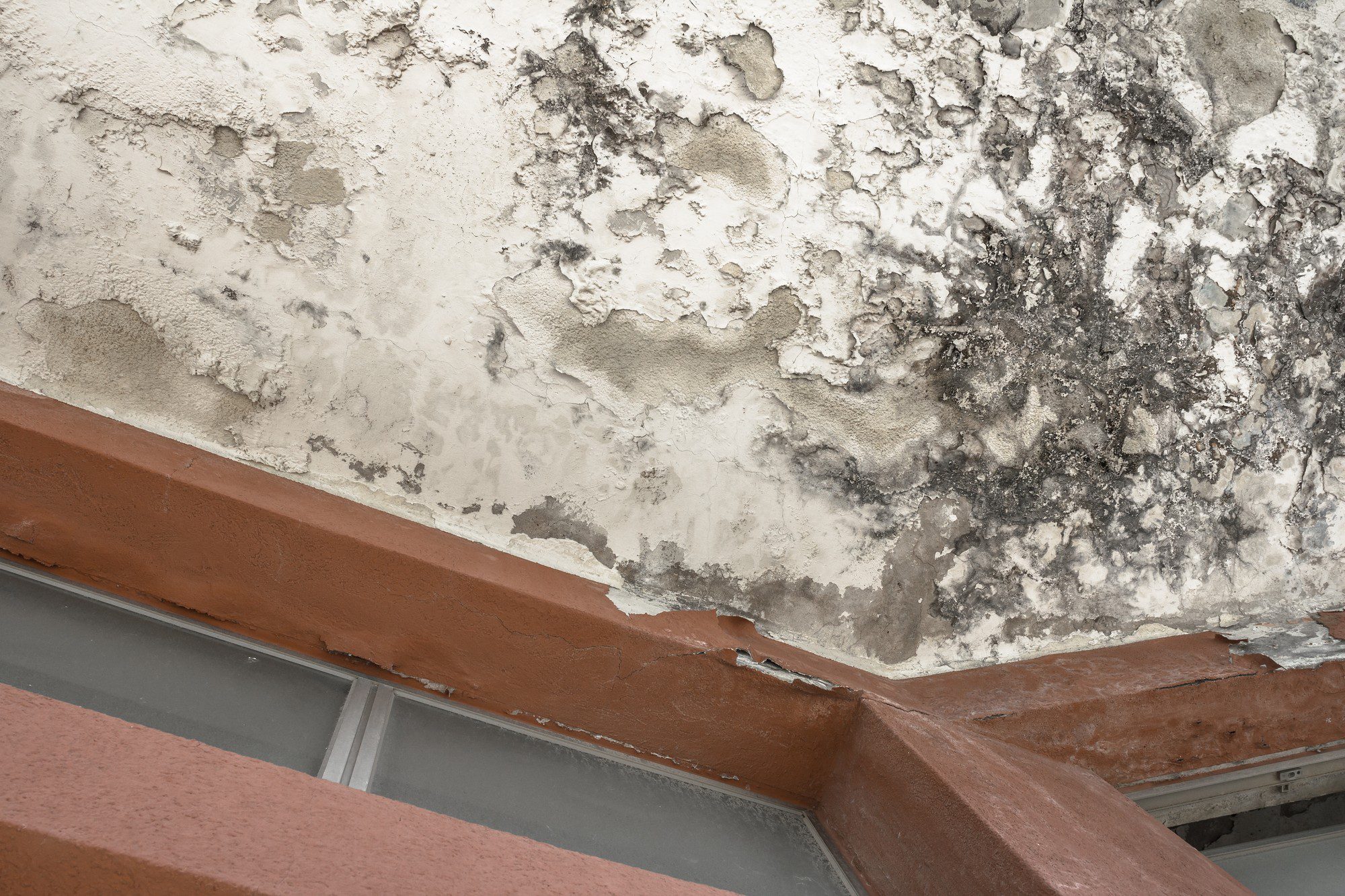 Damp Proofing Services in Poole | Home Guard UK-1