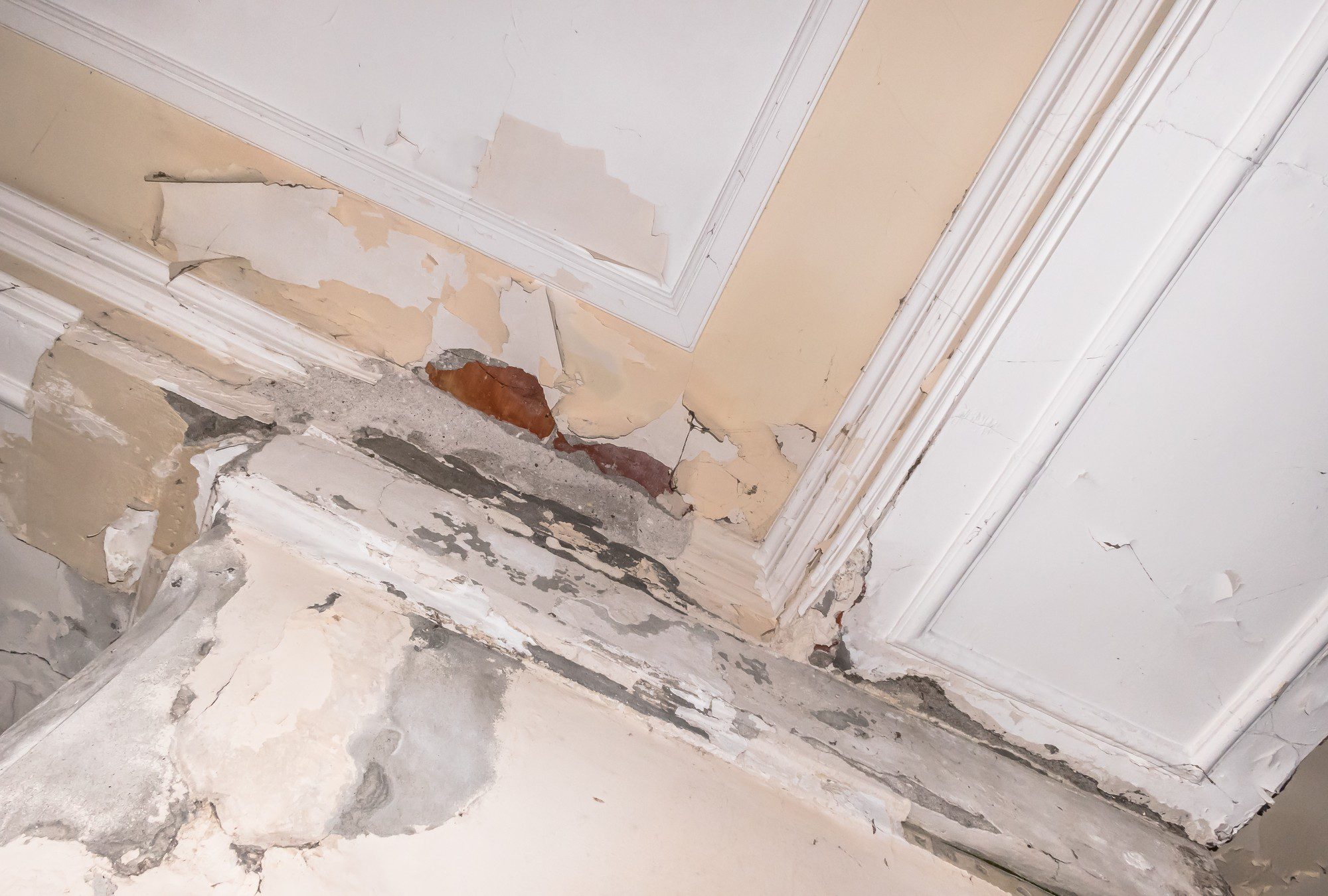 Damp Proofing Services in Lyme Regis | Home Guard UK-3